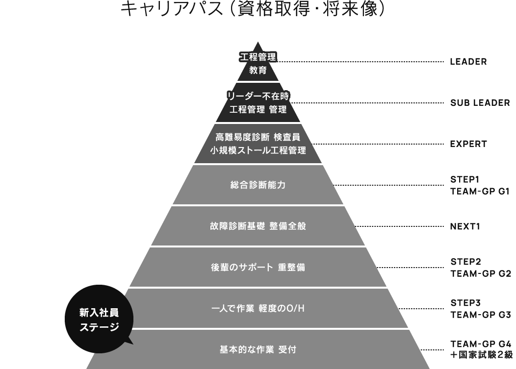 キャリアパス(資格取得・将来像)